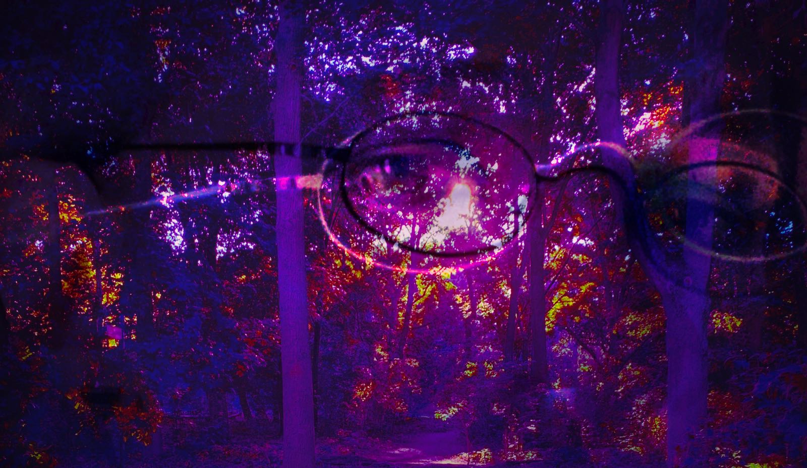 Heavily color-distorted photos of an eye and a forest superimposed on each other