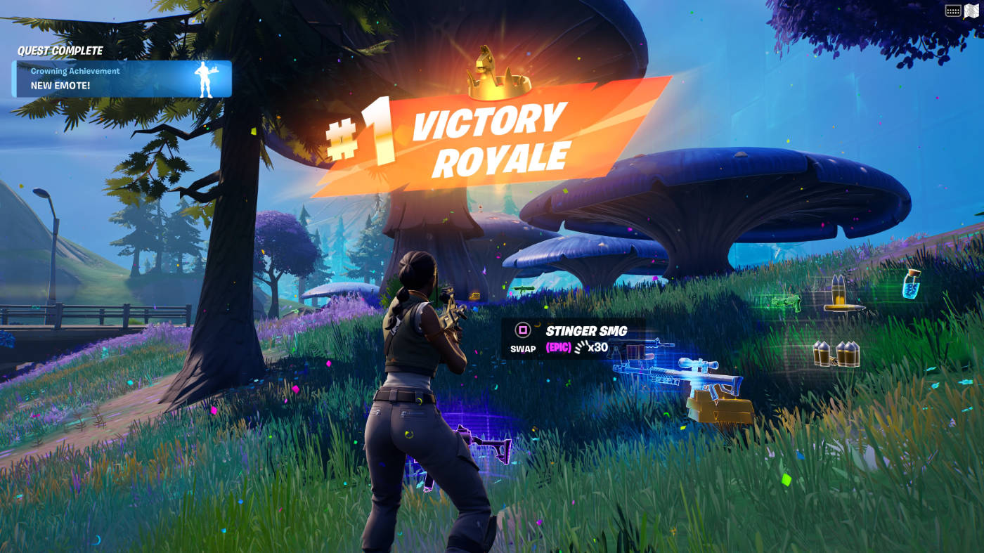 Fortnite victory screenshot
