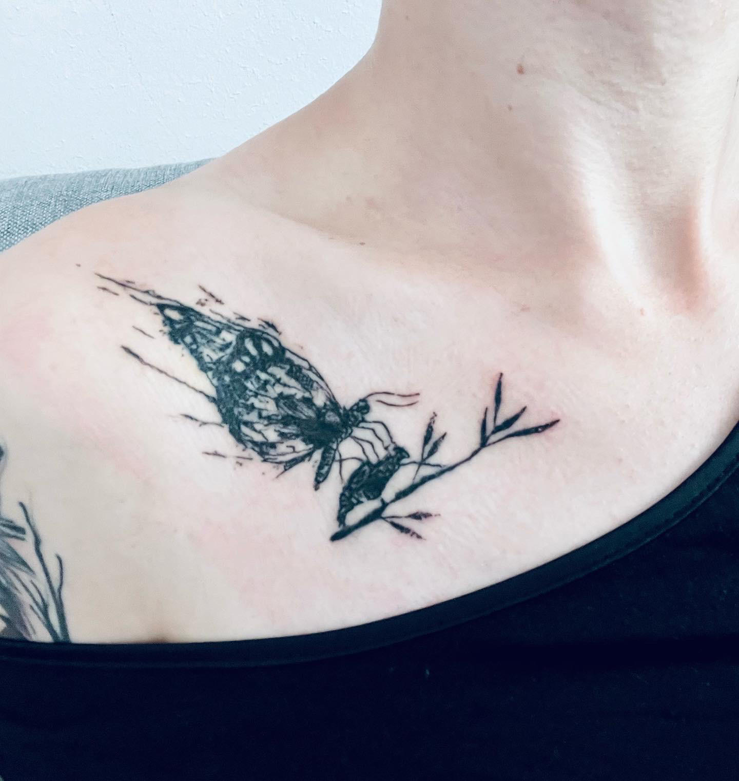 Fresh tattoo of a moth emerging from it s pupa, located under my right clavicle
