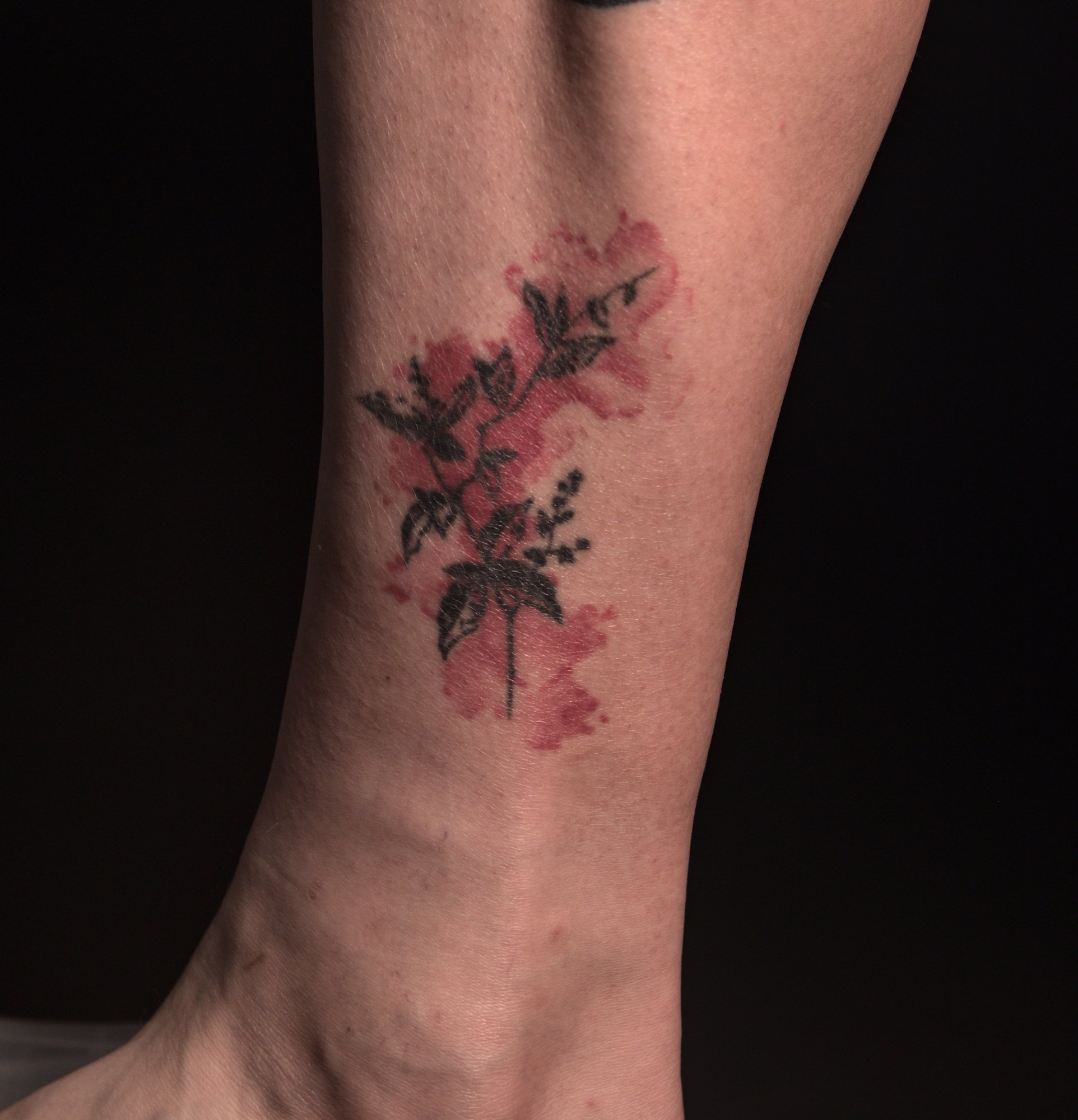 watercolor tattoo of a small plant branch with red color splotches behind